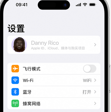 彭山appleID维修服务iPhone设置中Apple ID显示为灰色无法使用