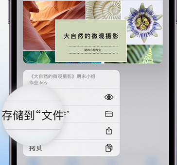 彭山apple维修中心分享iPhone文件应用中存储和找到下载文件