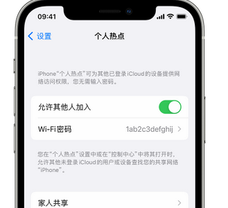 彭山apple服务站点分享iPhone上个人热点丢失了怎么办