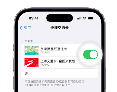 彭山apple维修点分享iPhone上更换Apple Pay快捷交通卡手绘卡面 