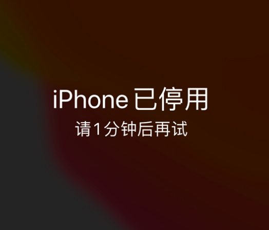 彭山苹果手机维修分享:iPhone 显示“不可用”或“已停用”怎么办？还能保留数据吗？ 