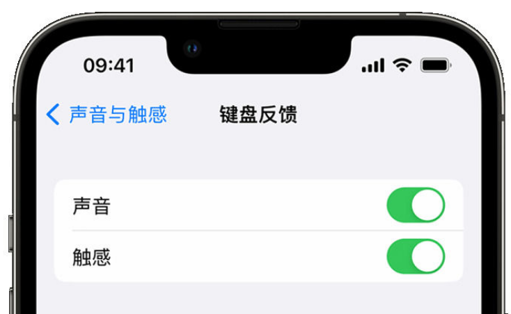 彭山苹果手机维修分享iPhone 14触感键盘使用方法 