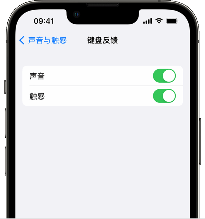 彭山苹果14维修店分享如何在 iPhone 14 机型中使用触感键盘 