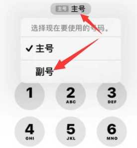 彭山苹果14维修店分享iPhone 14 Pro Max使用副卡打电话的方法 