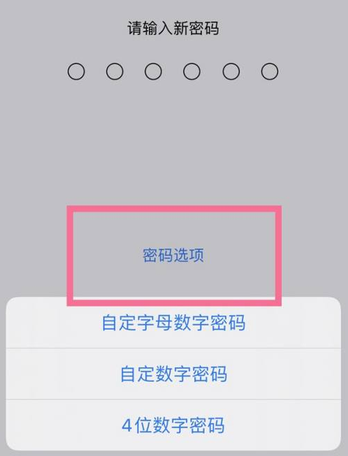 彭山苹果14维修分享iPhone 14plus设置密码的方法 