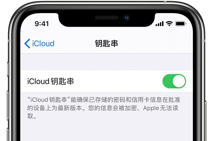 彭山苹果手机维修分享在 iPhone 上开启 iCloud 钥匙串之后会储存哪些信息 