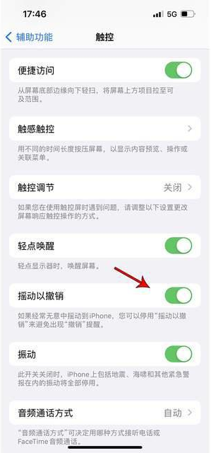 彭山苹果手机维修分享iPhone手机如何设置摇一摇删除文字 