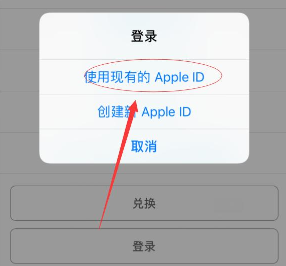 彭山苹果手机维修分享两台iPhone设备可以同时登录一个Apple ID吗 