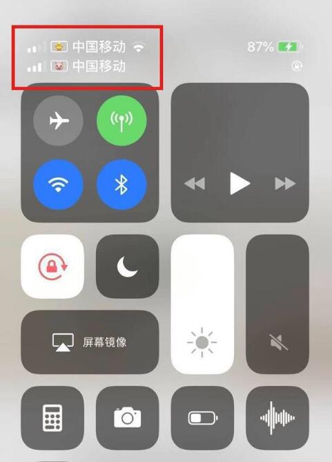 彭山苹果手机维修分享为 iPhone 12 双卡设置标签 